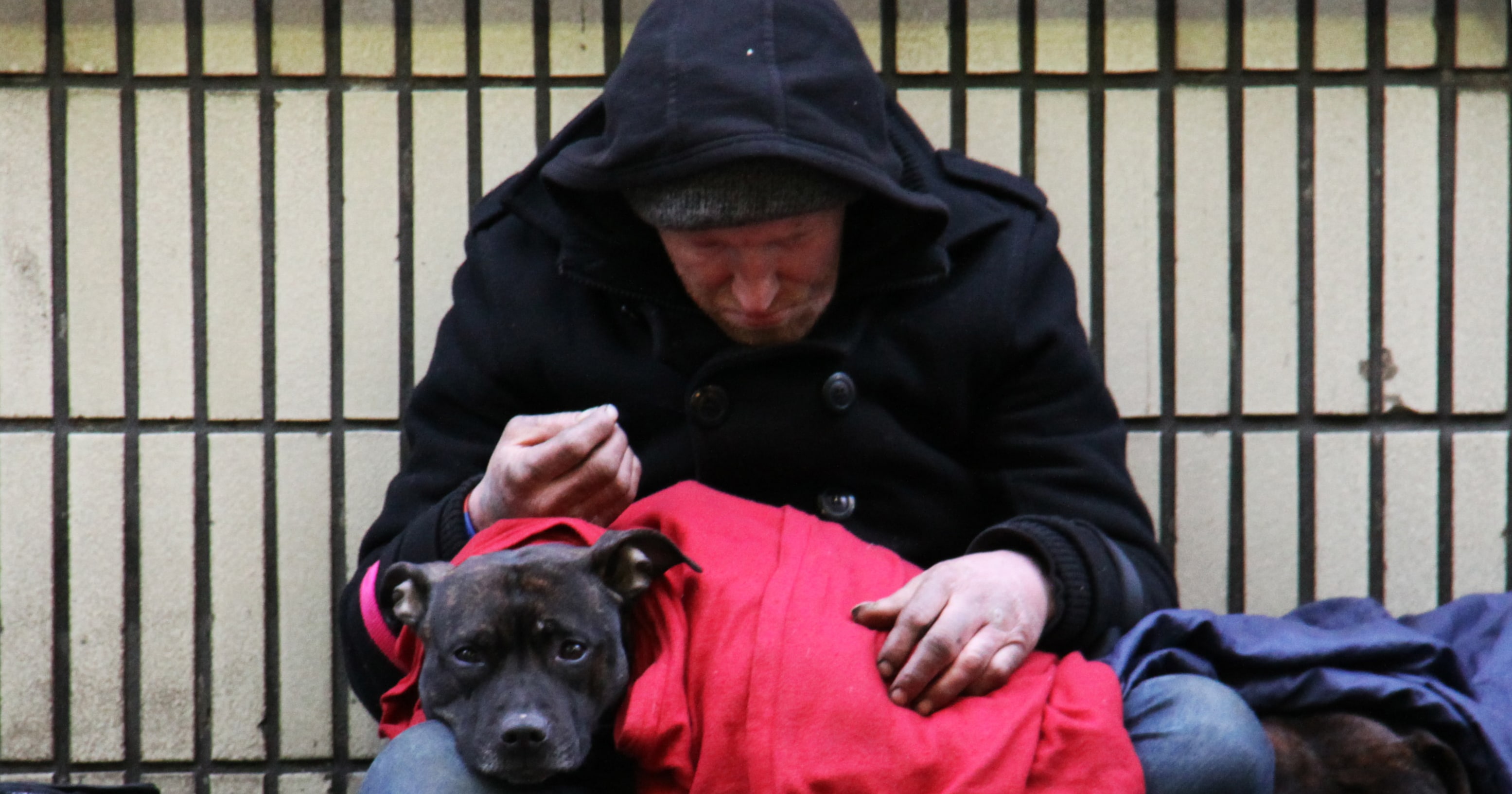 Depressed Homeless Man in black, hooded, jacked with black dog in red blanket laying.
